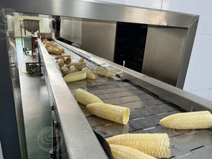 Linea di Produzione <span class=keywords><strong>Coni</strong></span> Wafer a Forma di Mais Macchina per Formatura <span class=keywords><strong>Coni</strong></span> Gelato | Macchina per la Produzione e la Cottura di <span class=keywords><strong>Coni</strong></span> Gelato - Product Image 3