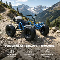Nouveau Kart Tout-Terrain à Essence Quatre Temps Transfrontalier, Capacité de Charge 180 kg, Transmission par Chaîne, Véhicule de Plage à Grande Vitesse pour Drift, Moteur 212cc, Adulte