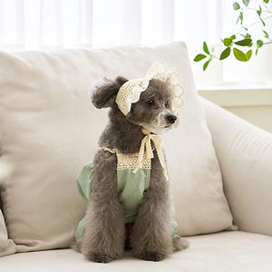 Ropa para perros Mono con ribete de encaje verde para perros pequeños Ropa para perros medianos y grandes Chihuahua <span class=keywords><strong>Shih</strong></span> <span class=keywords><strong>Tzu</strong></span> Yorkshire Terries Ropa - Product Image 2