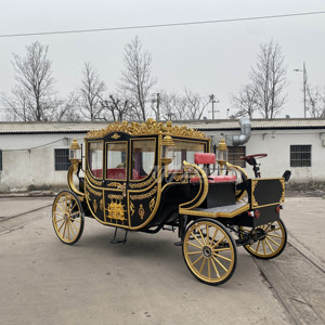 Chariot de luxe ZOWN noir et or pour passagers, avec roues à rayons entièrement dorées, idéal pour l'affichage en milieu hôtelier - Product Image 4