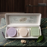 Boîte à thé en pulpe moulée pressée à froid blanche, emballage en papier recyclé écologique