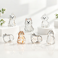 Pendentif transparent en forme de chat ou de chien pour la conservation des poils d'animaux, ornement commémoratif pour collection de poils, vente en gros