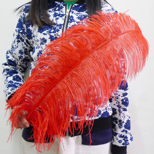 Vente en gros de grandes plumes d'autruche noires 75-80 CM de haute qualité plumes d'autruche moelleuses et lisses motif teint multicolore - Product Image 3