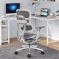 Chaise de bureau ergonomique en maille, chaise d'ordinateur réglable pour mobilier de bureau commercial, Sillas Para Oficina