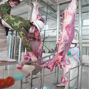 Equipo automático de sacrificio de <span class=keywords><strong>ganado</strong></span> para procesamiento de carne de res/ternera para plantas de fabricación <span class=keywords><strong>y</strong></span> mataderos - Product Image 3