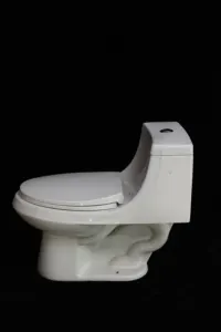 China Supplied Ceramic Upper Pressing 2 End Type 1 Piece Toilet For Hotel