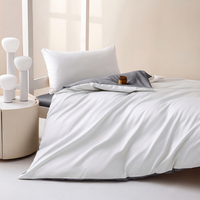 Parure de lit hôtelière 3 pièces en polyester 100% toucher frais pour maison d'hôtes, maison de retraite, fournitures hôtelières en gros