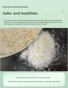 رمل سيليكا شفاف قوي لإزالة الروائح بدون رائحة، فراش للقطط منخفض الغبار، خفيف الوزن، غير متكتل، سريع الذوبان - Product Image 6