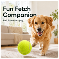 Starter SKU 6.3cm Ballon de tennis pour chien à rebond élevé pour le jeu en parc, les récompenses d'entraînement et l'exercice actif