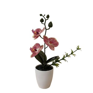 Orchidée Phalaenopsis artificielle en pot rond, plante miniature, décoration d'intérieur, trois fleurs, sable noir - Product Image 5