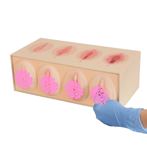 Recursos Didácticos de Modelos de Tensado Vaginal para Mujeres en Niveles 1-4 en Ciencias Médicas de Ginecologí<span class=keywords><strong>a</strong></span> - Product Image 2