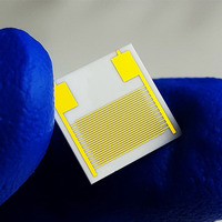 100um 10*10mm sustrato de cerámica Electrodo interdigital gas humedad biosensor chip