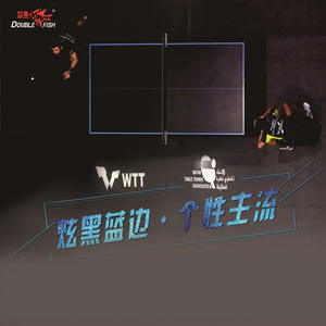 Table de tennis de table Double Fish 233 25 mm, qualité tournoi, pliable, équipement de fitness d'intérieur - Product Image 2