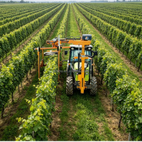 Élagueuse hydraulique pour vignobles et vergers, taille-vigne, taille-arbre monté sur tracteur