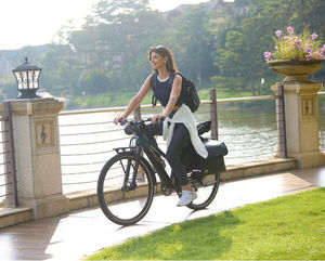 EE. UU. UE Reino Unido Almacén Asuka 250W-1000W Bicicleta eléctrica con batería de litio integrada de 36V Step Through Fat Tire <span class=keywords><strong>E</strong></span>-<span class=keywords><strong>bike</strong></span>-Voyage - Product Image 3