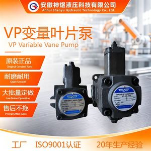 Pompe à palettes variables Shen Yu série VP hydraulique pour machines de moulage par injection et de fonderie sous pression - Product Image 4