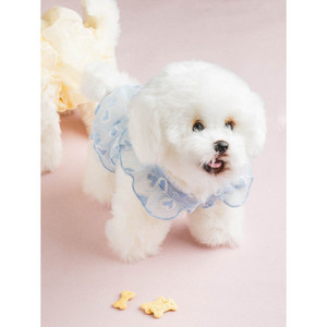 Ropa transparente Pet Croptee L Heart - Product Image 1