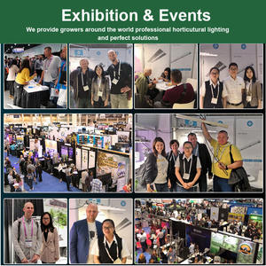 Sanyiba 240w 전체 스펙트럼 Led 성장 빛 UV LM301H EVO IR CE 승인 수직 농업 디 밍이 가능한 실내 수경 보드 - Product Image 5