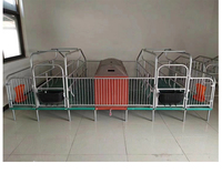 Équipement d'élevage de porcs, système d'écurie, cage de mise bas, enclos de mise bas pour porcs à vendre