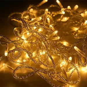 Guirnalda de luces LED para Navidad, iluminación decorativa para festividades, a prueba de agua, 110V, 220V, colores, 24V, 10M, 100