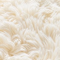 Tapis de maison de style abstrait minimaliste, imprimé à la machine, en velours bas, écologique, antidérapant, en PET polyester, vente en gros d'usine
