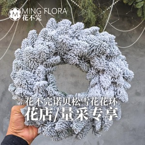 Guirnalda de Copos de Nieve de Pino Nobel Mingflora Importada de Dinamarca, Decoración Navideña para Colgar en la Pared - Product Image 1