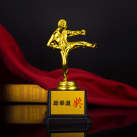 Trophée de Taekwondo en plastique de haute qualité, bon marché et très vendu, impression UV, logo personnalisé, gravure, design portable pour les récompenses sportives