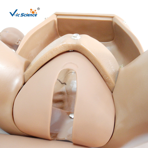 Manichino Avanzato per Addestramento alle Abilità di Parto, Modello per Simulazione di Parto Naturale di Donne in Gravidanza, in PVC, Marca VIC SCIENCE - Product Image 6