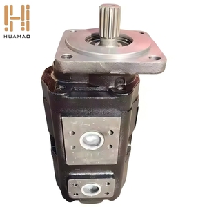 Pompe à engrenages hydraulique double en fonte noire mate antirouille monobloc, vente en gros en vrac de l'usine HUAMAO - Product Image 1