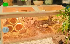 Cage à hamster portable en bois, ouverte en haut, petite maison pour animaux de compagnie avec plaque acrylique pour <span class=keywords><strong>cochon</strong></span> <span class=keywords><strong>d</strong></span>'<span class=keywords><strong>Inde</strong></span> - Product Image 6