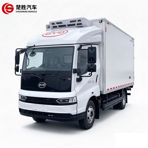 Camión Refrigerado Eléctrico BYD T5 de Gran Venta: Congelación Profunda para Logística Urbana de Cadena de Frío - Product Image 1
