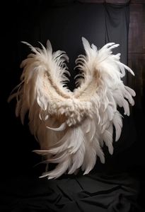 Toile de <span class=keywords><strong>fond</strong></span> Ailes d'Ange Brisées, <span class=keywords><strong>Fond</strong></span> de photographie gothique sombre pour Cosplay, Portrait, Halloween, Accessoire de studio photo - Product Image 5