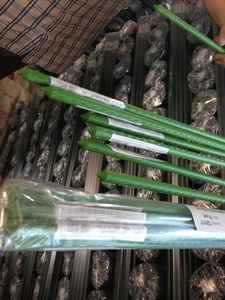 Customized Size Modern PE and Plastic Coated <strong>Metal</strong> Garden <strong>Plant</strong> <strong>Support</strong> Stakes for Climbing <strong>Plants</strong> - Product Image 6