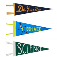 En gros Personnalisé Imprimé Collège Bannière et Équipe Sportive Souvenir Camp Drapeaux Feutre Drapeau Fanion Triangle Feutre Drapeau