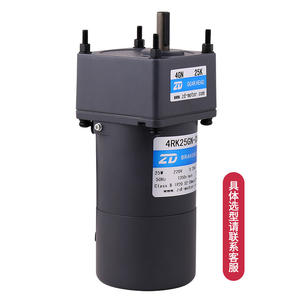 Motor de Freno con Engranajes Zd Zhongda Lide de 25W 220V 4RK25GN con Función de Embrague, Instalación Vertical - Product Image 1