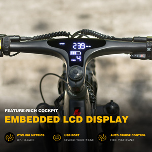 Bicicleta Eléctrica de Alto Rendimiento con Fibra de Carbono, Fafrees F26 Carbon M, Bicicleta de Neumáticos Anchos para Adultos, F26 Carbon M Ebike con Suspensión Completa, Disponible en la UE - Product Image 5