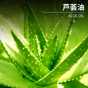 शुद्ध प्रीमियम एलोवेरा तेल थोक थोक कार्बनिक एलोवेरा आवश्यक तेल ठंडा दबाया बालों/त्वचा के लिए ताजा गंध प्राकृतिक सामग्री - Product Image 4