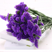 Fleur séchée naturelle longue durée, éternelle et sans entretien, pour la décoration intérieure de la maison, des vases, des hôtels et des cafés.