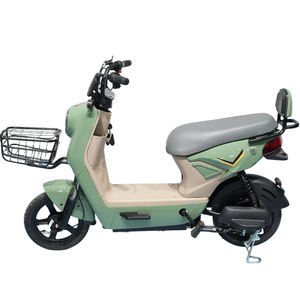 New Adult R Günstige 2 Sitze Zweirad Elektromotor rad Racing 350W Hinterrad naben motor Langstrecken-Hochgeschwindigkeits-Elektronik zum Verkauf - Product Image 2