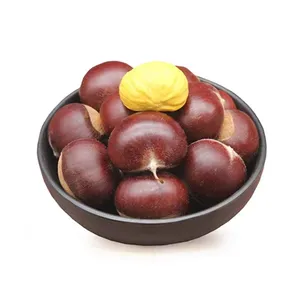 High quality China fresh large chestnut fresh chestnut