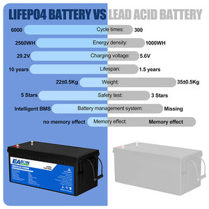 定制24V 100Ah锂离子LFP电池25.6V 100Ah LifePo4电池组带BMS - Product Image 2