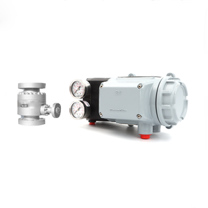 มีสินค้าในสต็อกและราคาพร้อมจำหน่าย Masoneilan SVI3 Digital พร้อม Shanghai Dianjian - Product Image 4