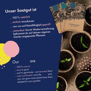 2023 Searea Biodigradable Intérieur/Extérieur <span class=keywords><strong>Pot</strong></span> De Plante <span class=keywords><strong>Petit</strong></span> <span class=keywords><strong>Pot</strong></span> De Fleur En Pâte De Papier Vert avec Fonction D'arrosage Maison Pépinière Jardin - Product Image 4