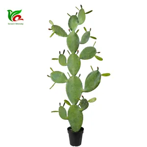 China exportação 186cm cacti imagem de cacto plantas artificiais