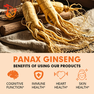 Cápsulas de Jengibre Panax de Marca Privada OEM con Suplemento de Té Verde para Apoyar la Salud del Corazón y la Salud Cognitiva - Product Image 5