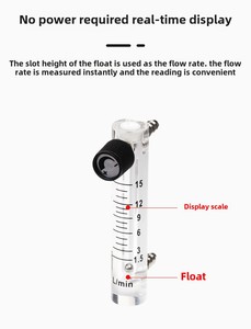 <span class=keywords><strong>3</strong></span>-10L/Min医用氧气流量计10Lpm氧气发生器流量 - Product Image 3