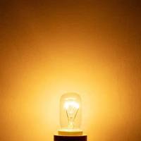 Ampoule Incandescente Personnalisée T25 40W E17 E14 Accessoires pour Four à Micro-ondes T22 25W 15W T26
