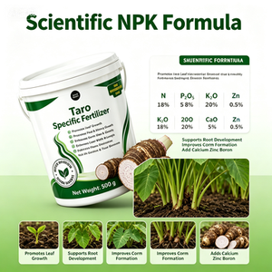 Engrais Spécifique pour <span class=keywords><strong>Taro</strong></span> 500g NPK 18-8-20 Accélère la Croissance des Racines et des Feuilles, Agrandit les Cormes, Améliore la Texture, Augmente de 80% <span class=keywords><strong>le</strong></span> Rendement en Terres Ouvertes - Product Image 6