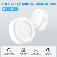 Balise de suivi des actifs et de localisation DX-CP28, couverture de 120 m, faible consommation d'énergie, BLE DA14531, Bluetooth IBeacon Eddystone