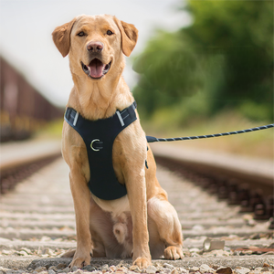 Manufacturer's high-quality pet cushioning impact <b>vest</b> chest strap reflective dog harness nameplate - Product Image 3